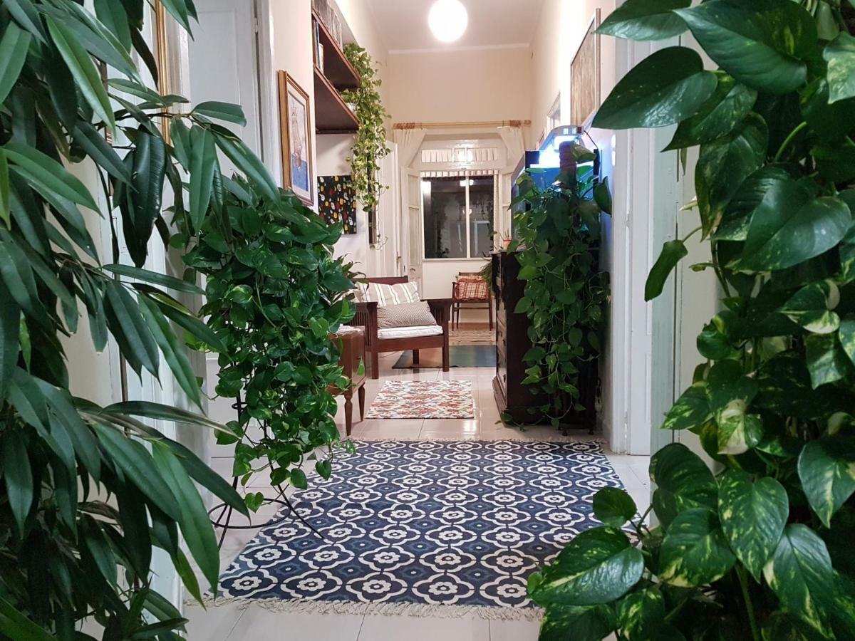 Dolianova Marco'S Houseヴィラ エクステリア 写真