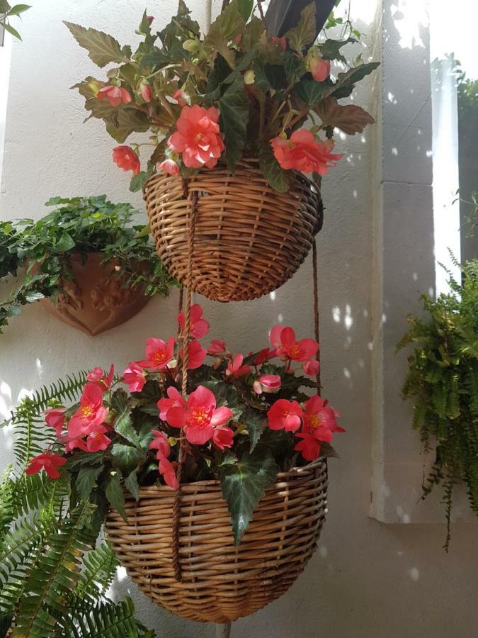 Dolianova Marco'S Houseヴィラ エクステリア 写真