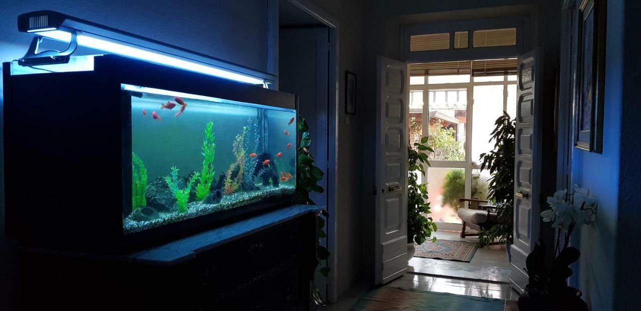 Dolianova Marco'S Houseヴィラ エクステリア 写真