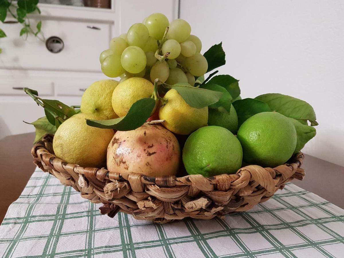 Dolianova Marco'S Houseヴィラ エクステリア 写真