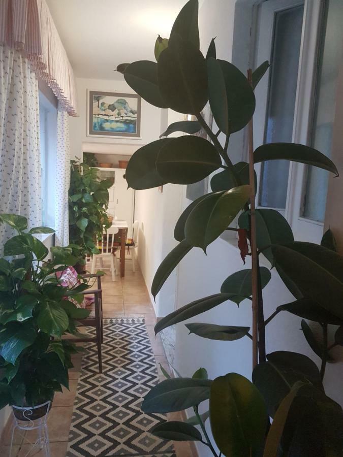 Dolianova Marco'S Houseヴィラ エクステリア 写真